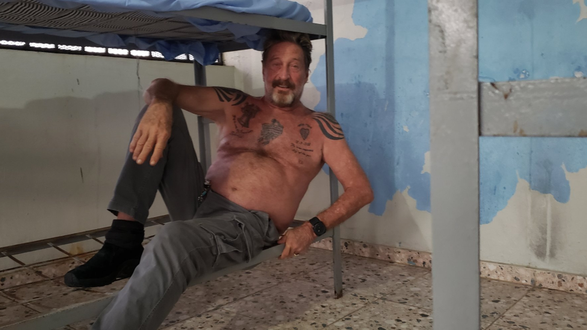 John McAfee é o criador do Bitcoin - Bolha Crypto