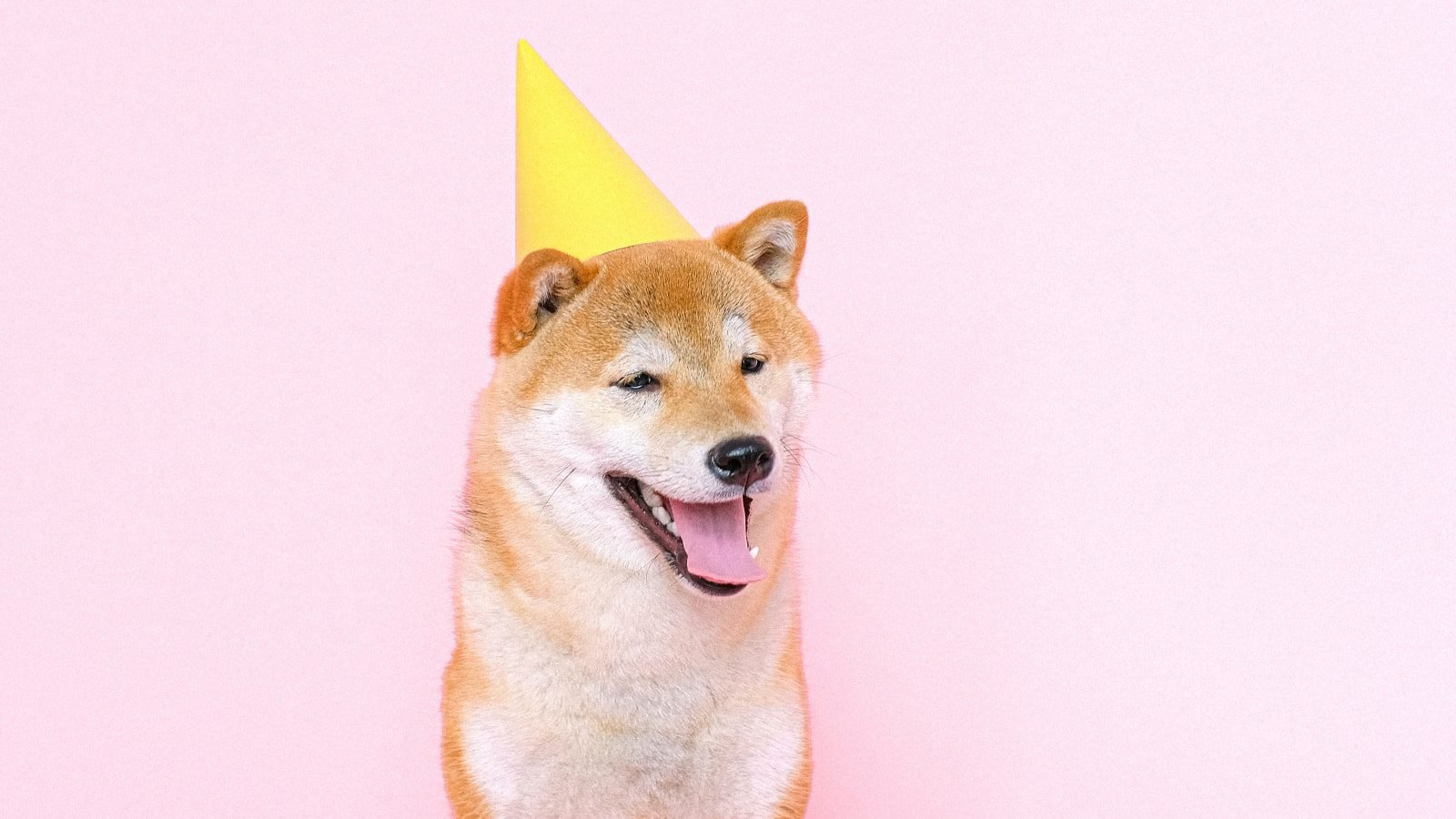Aniversário do Dogecoin (DOGE): veja as principais conquistas da altcoin  meme - Bolha Crypto