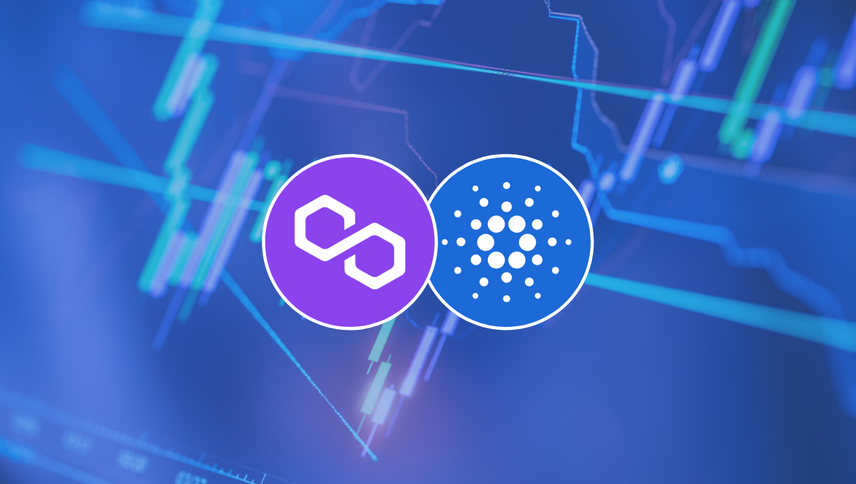Cardano (ADA) e Polygon (MATIC): por que as baleias estão tão interessadas nestas criptos? - Bolha Crypto