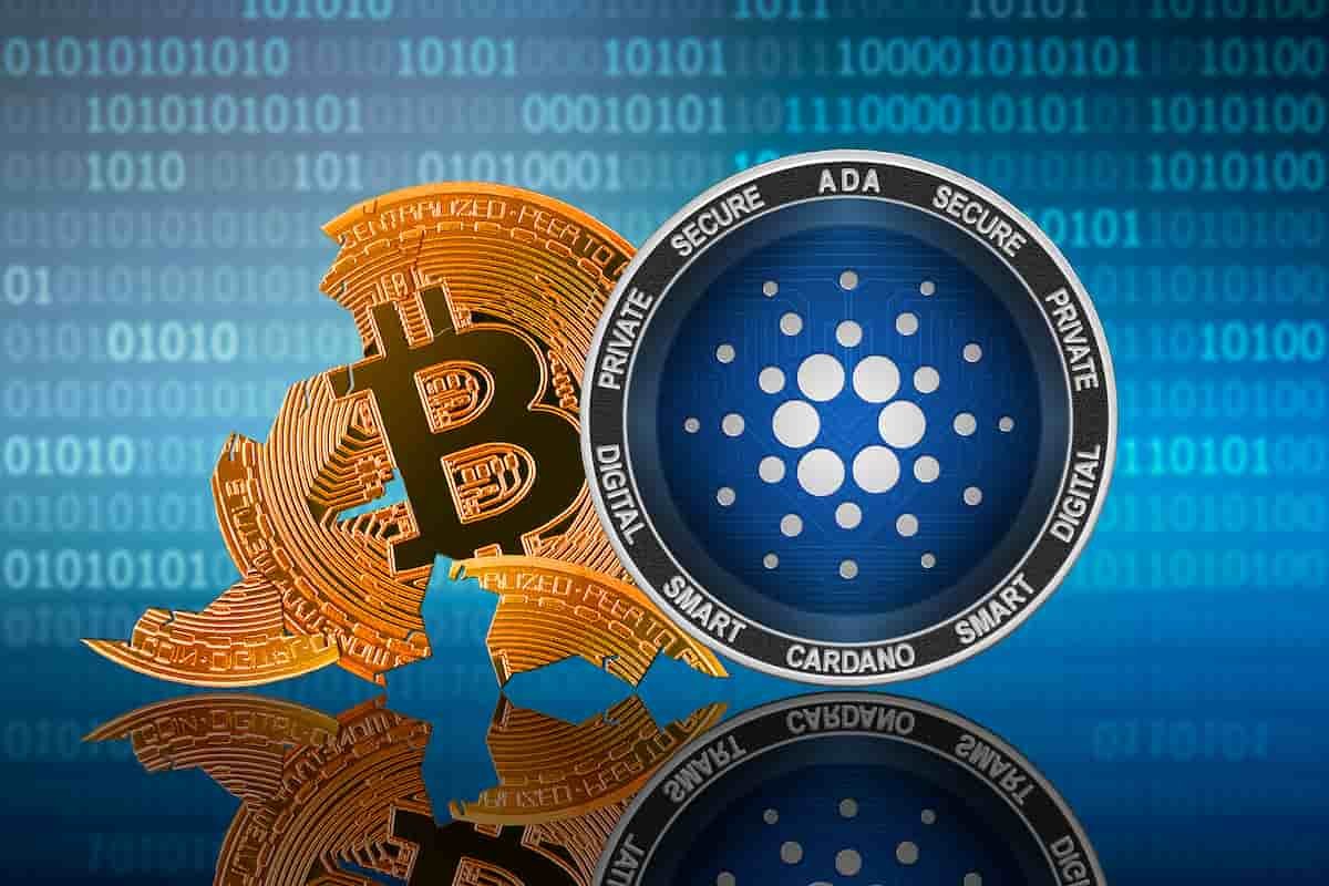 Cardano vs SEC: ADA é mais descentralizada que o Bitcoin (BTC), alega  comunidade da altcoin - Bolha Crypto
