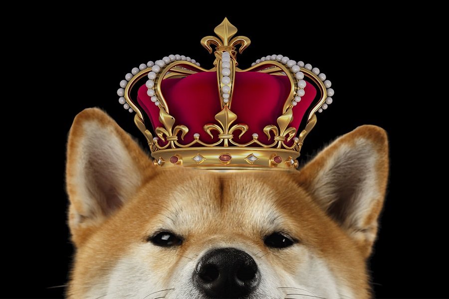 Analista preve grande rali para Dogecoin