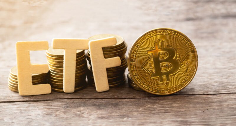 Especialista: a SEC pode aprovar ETF de Bitcoin á vista em breve