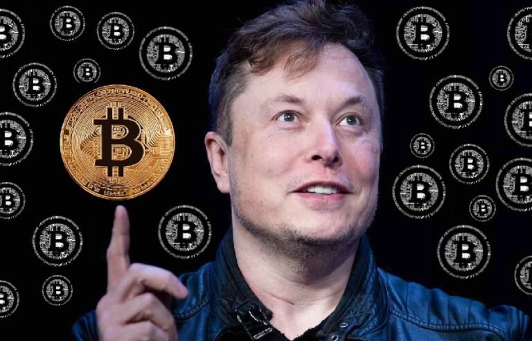 Elon Musk direciona X para o universo das criptomoedas