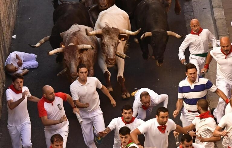 Indicador Bitcoin classico sugere corrida de touros em 2024