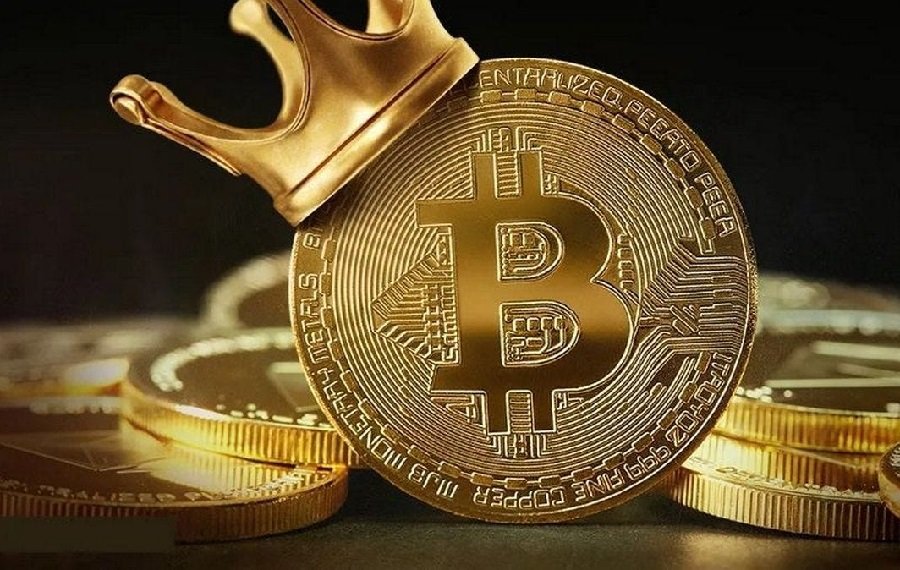 O total de detentores de Bitcoin atinge impressionantes 48,5 milhoes