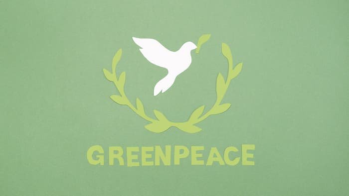 Bitcoin (BTC) x Greenpeace: professor destrói argumentos da organização