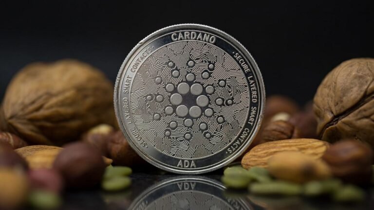 DEX na Cardano (ADA) vê um crescimento explosivo na atividade DeFi