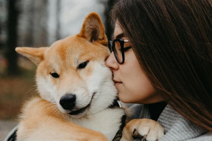 SHIB Names pode ser adquirido com mais de 60% de desconto 