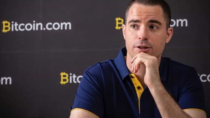 Roger Ver, criador do Bitcoin Cash, é preso na Espanha acusado de evasão fiscal