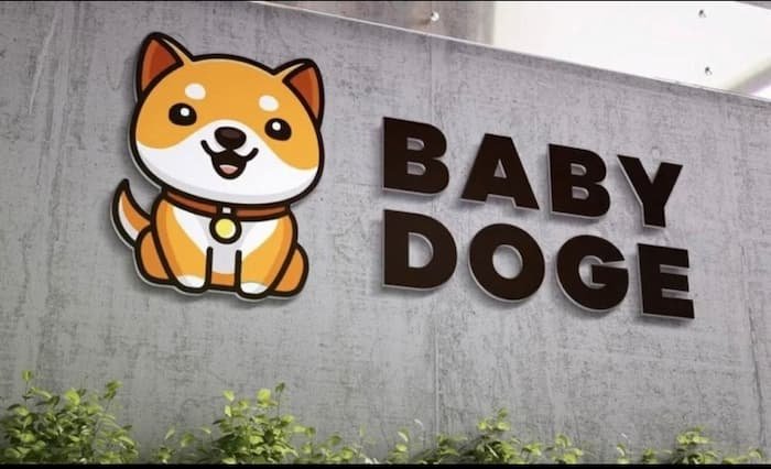 Baby Doge será implementado na rede Solana