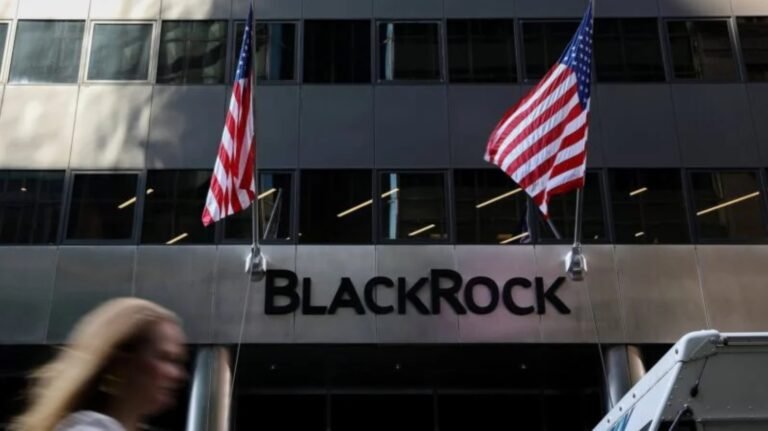 BlackRock faz alerta geral sobre golpes e fraudes de criptomoedas