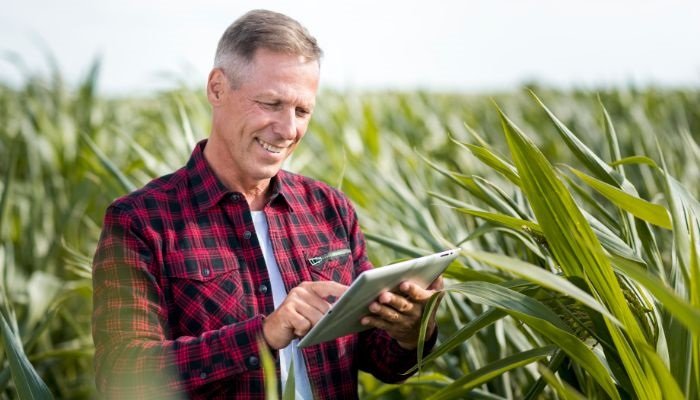 Entenda como a tecnologia blockchain está revolucionando o agronegócio