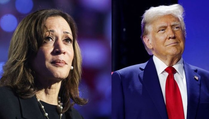 Eleições dos EUA: Trump e Harris movimentam o mercado de memecoins