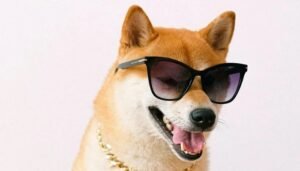 Dogecoin pode ver rali de 12.000% com aumento de atividade?